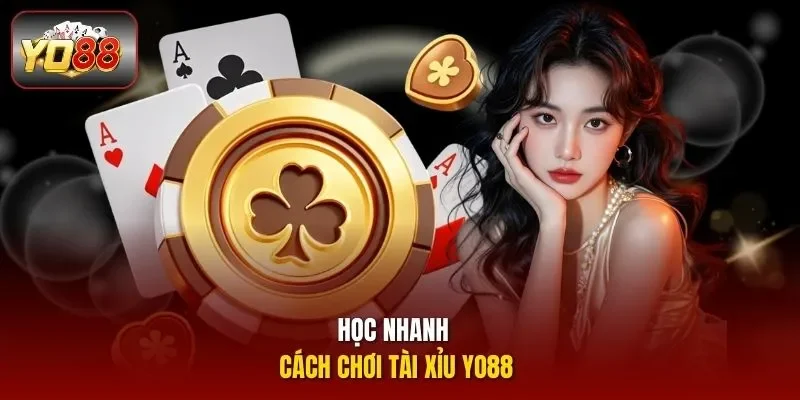 Học nhanh cách chơi tài xỉu Yo88